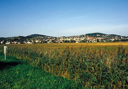 Veszélyben a Nagyberek