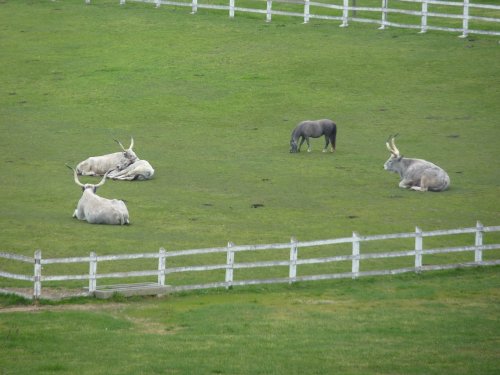 Első világtalálkozó Lellén