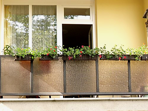 Díjazzák a virágos portákat Kaposváron