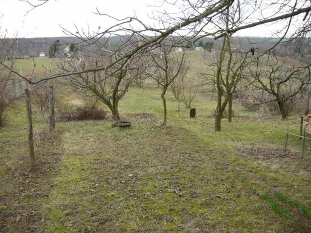 Lóhátról vigyázzák a rendet Kaposváron