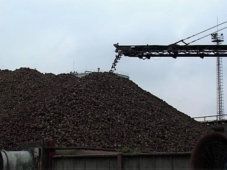 Fókuszban a somogyi álláskeresők