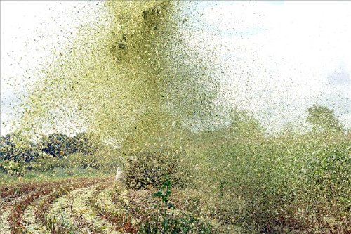 Kártérítés a kitárcsázásokért