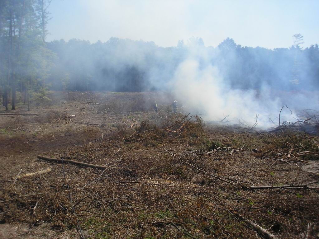 Balesethez és tűzhöz vonultak a tűzoltók