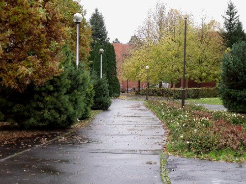 Szakmai gyakorlat a munkaügyi központban