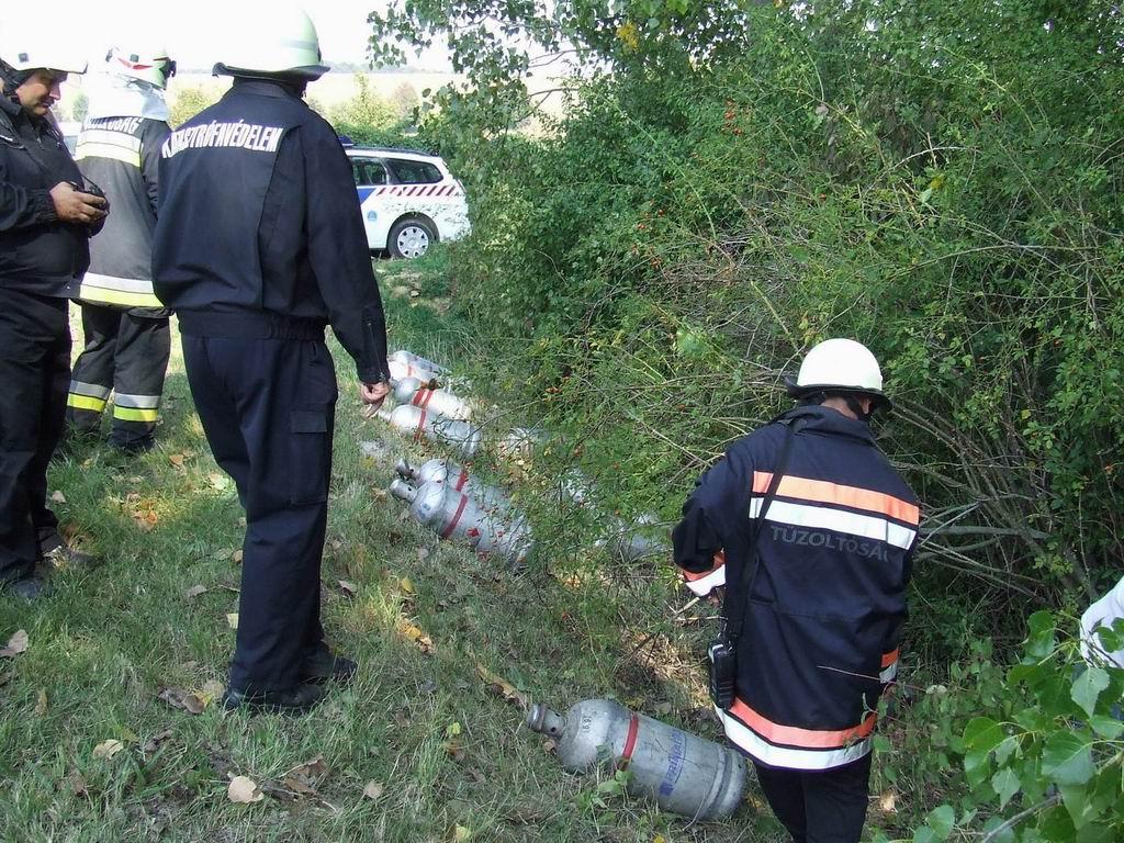 Gázpalackokkal rohant  fának