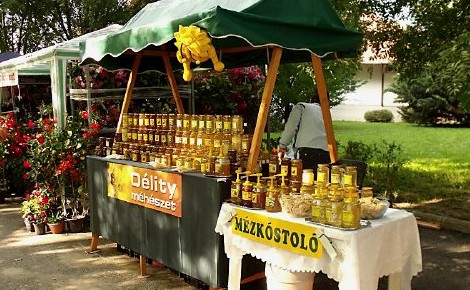 Triplán jubilál a Kaposvári Egyetem