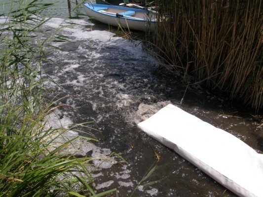 Megkezdődött az őszi balatoni haltelepítés