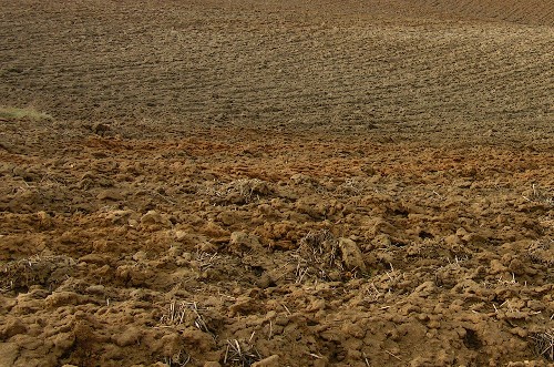 Ismét szántanak a középiskolások