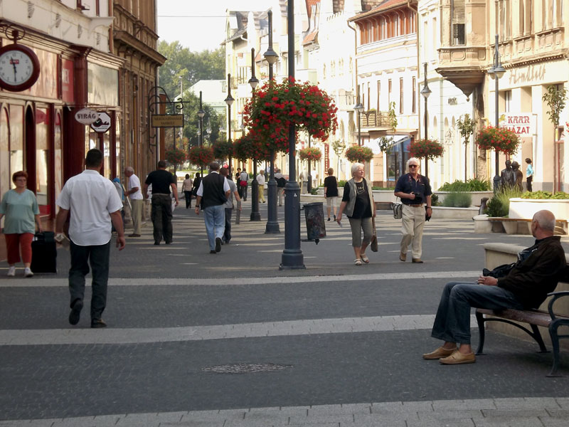 Kézbesítik a népszámlálási kérdőíveket