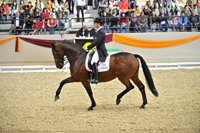 Lengyel siker a kaposvári díjlovagláson