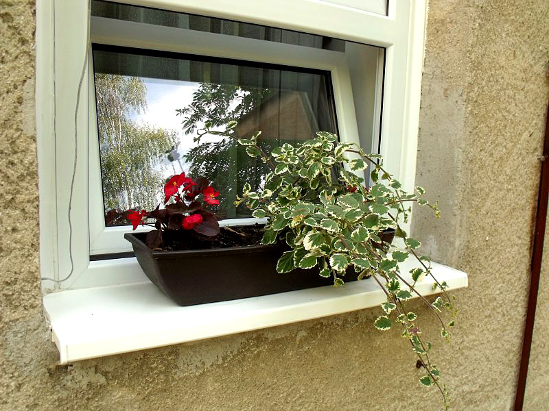 Miniszterelnöki elismerés Kaposvárnak