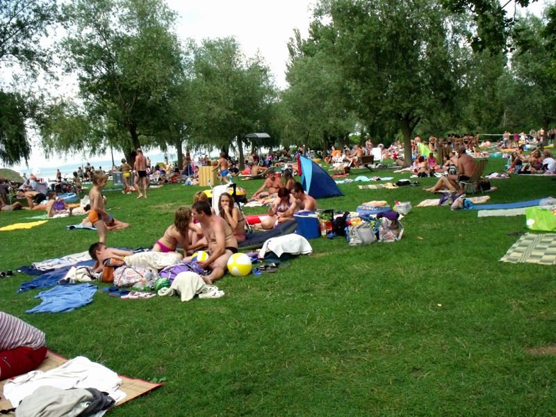 Balatoni TDM alakult