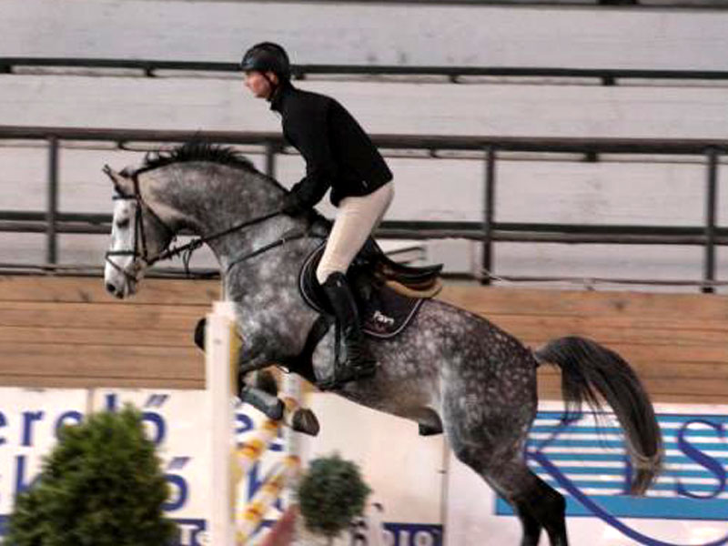 Rekordnevezés érkezett a díjlovagló Világkupára