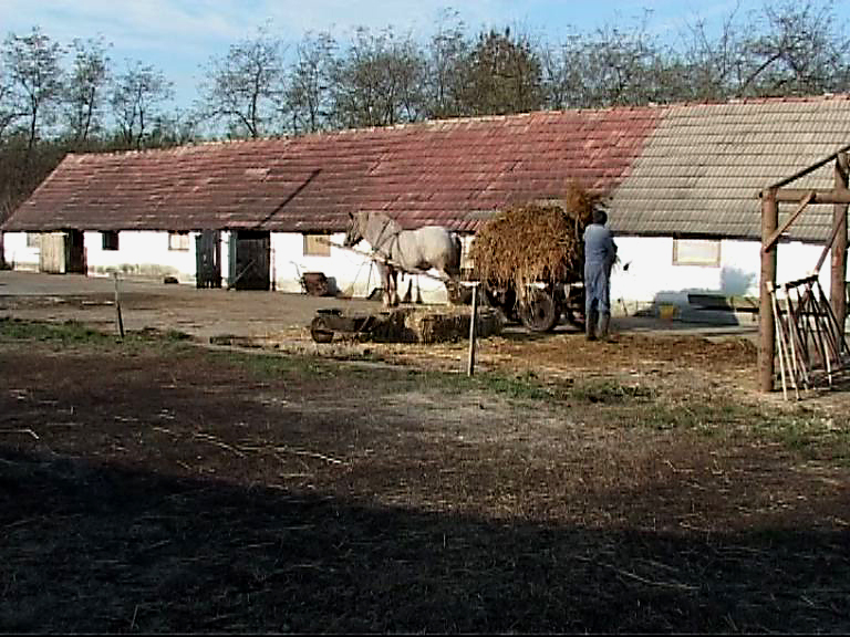Somogyi gazdáknak is érkezhet támogatás