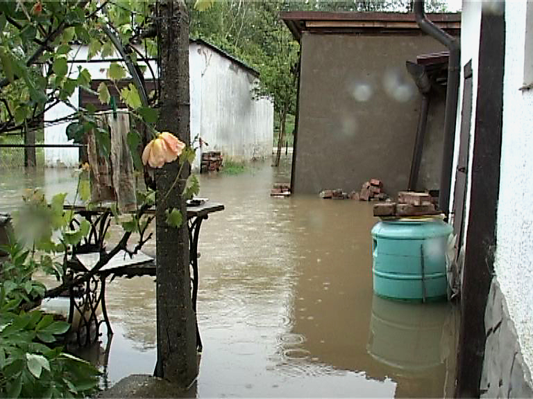 Somogyi mentőcsoport alakult