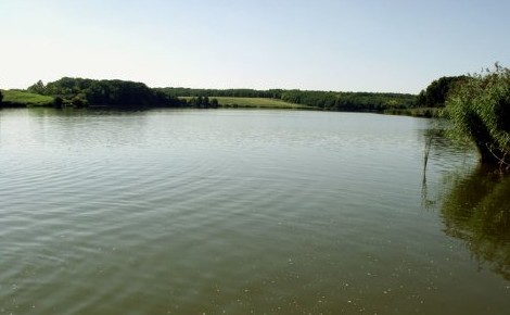 Ragadozóhalak viszik Somogy hírét