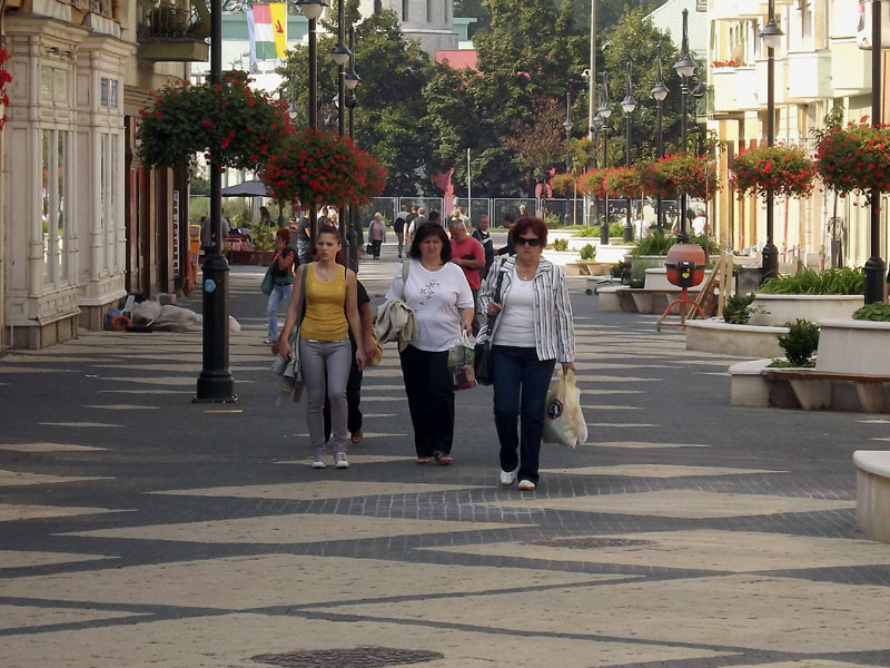 Díszpolgárt jelölhetnek a kaposváriak