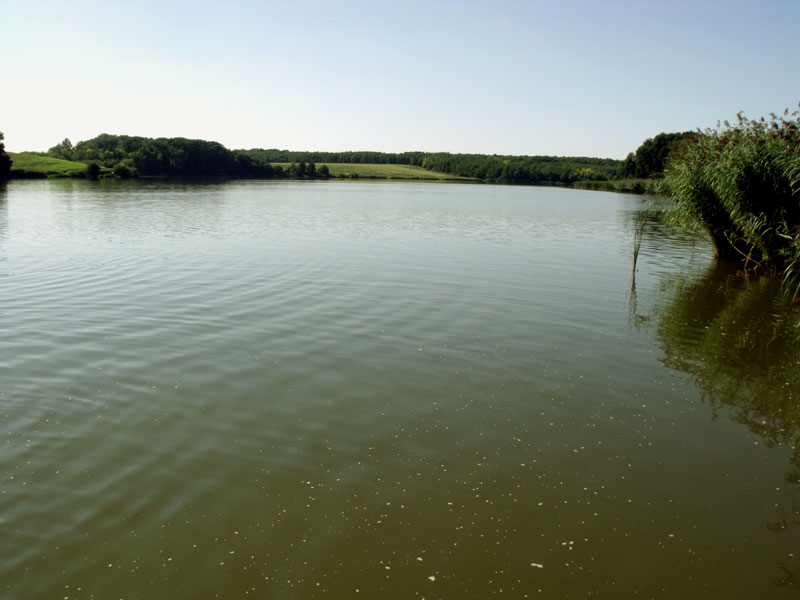 A biológiai sokféleség védője Kaposvár