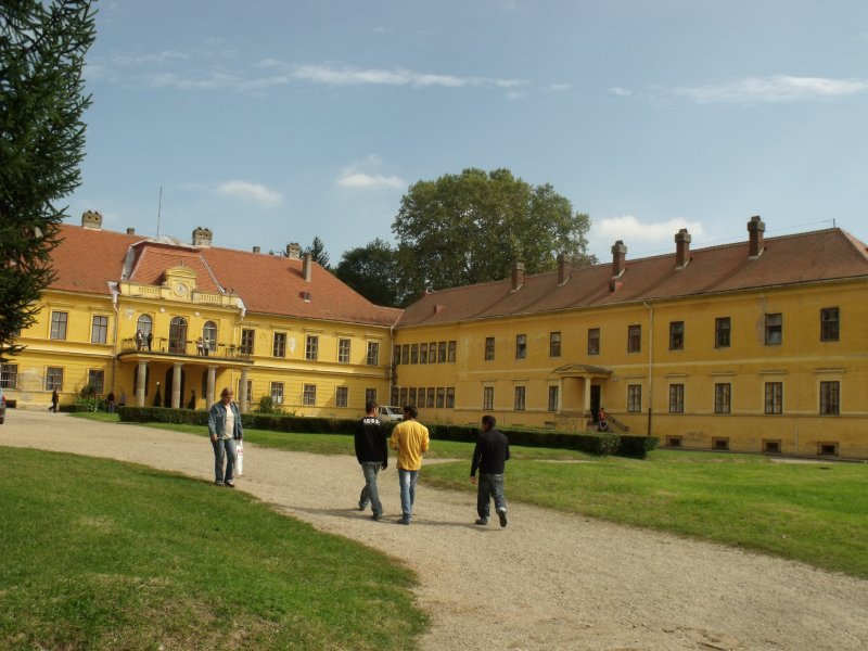 Minden vezető pályázhat