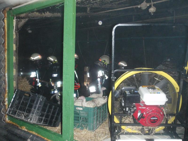 Baromfitelep lángolt Fonyód mellett