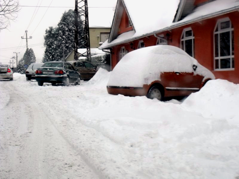 Zöld számon kérhet segítséget a hidegben