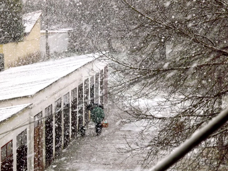 Számba vették a somogyi hajléktalanokat