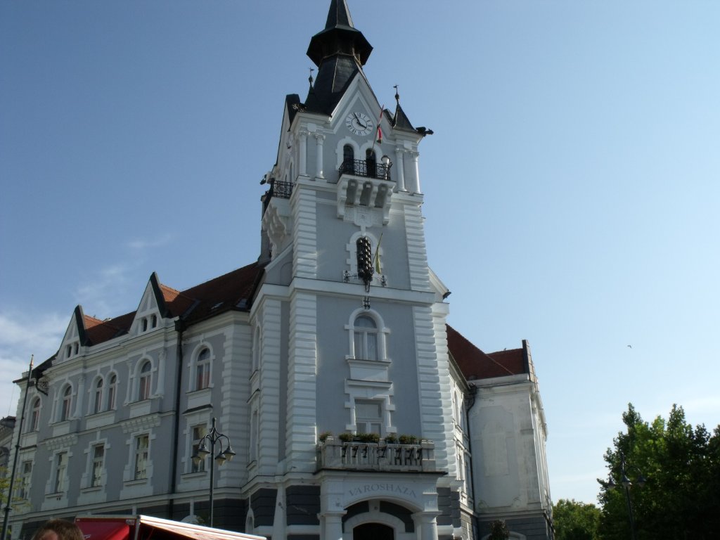 Elfogadták Kaposvár költségvetését