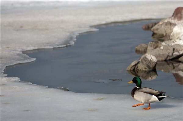 Veszélyes a balatoni jég