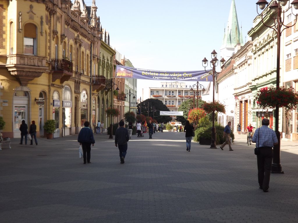 Somogy megye a legritkábban lakott