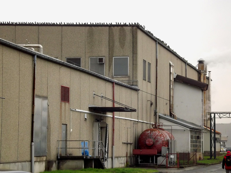 Az önkormányzat mellé álltak a nagyadózók