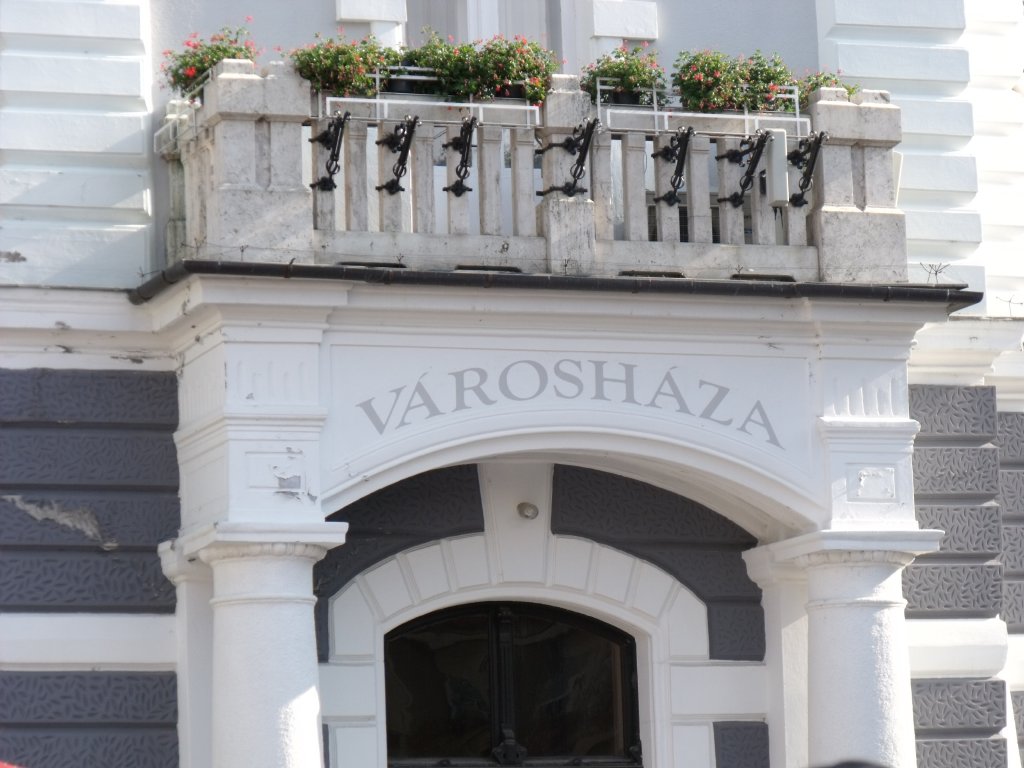 115 kiemelkedő sportolót díjaztak a Városházán