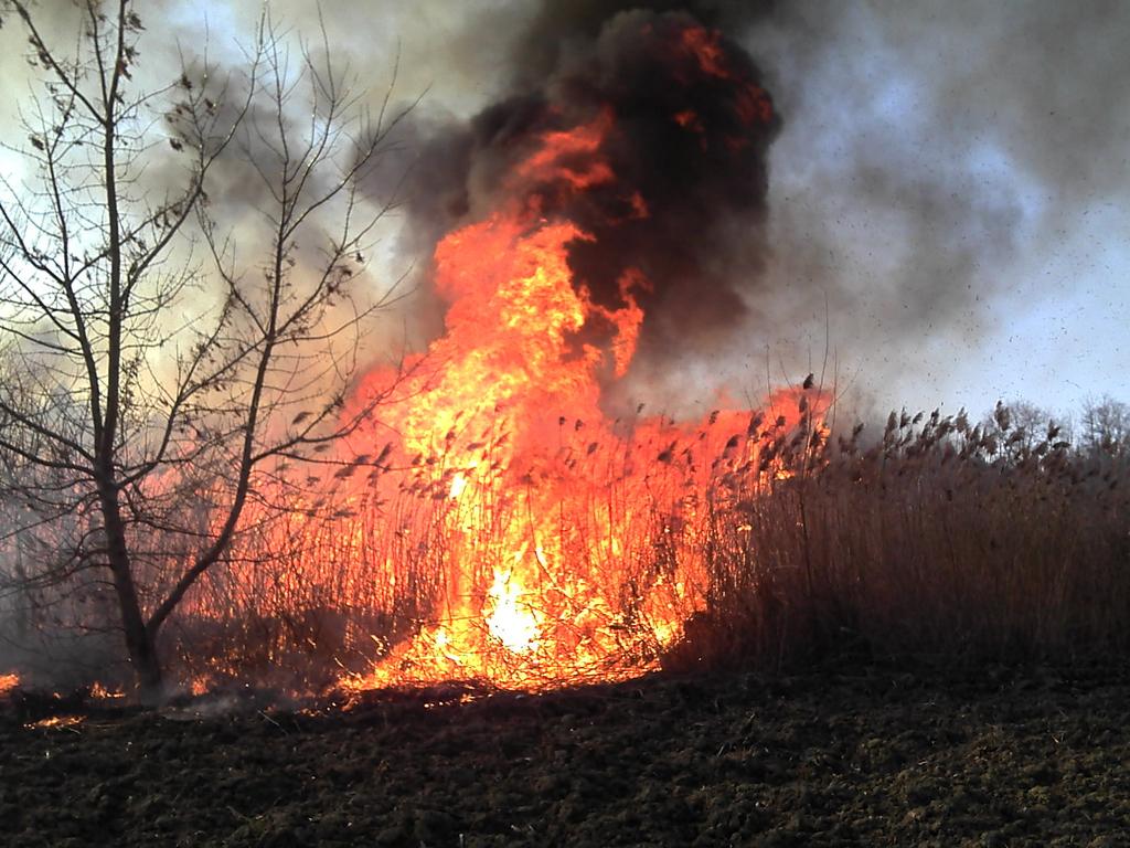 Sűrű hétvégi riasztások