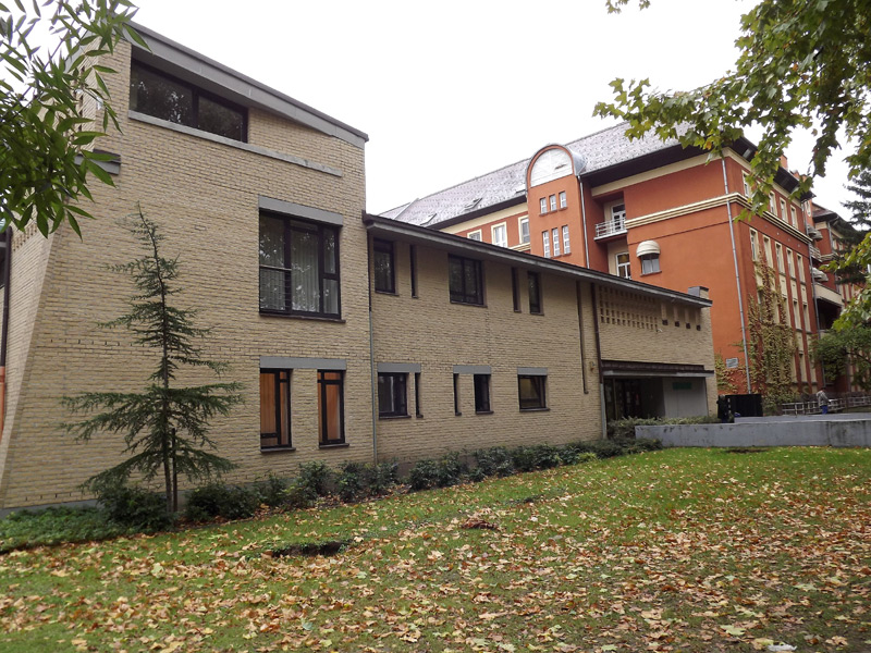 Transzplantációról szólt a Vese Világnapja