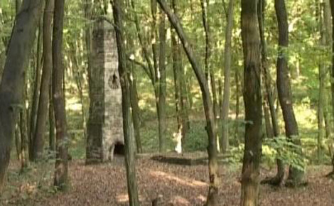 Kaposvár parkerdőinek megújulását az Európai Uniós is támogatja