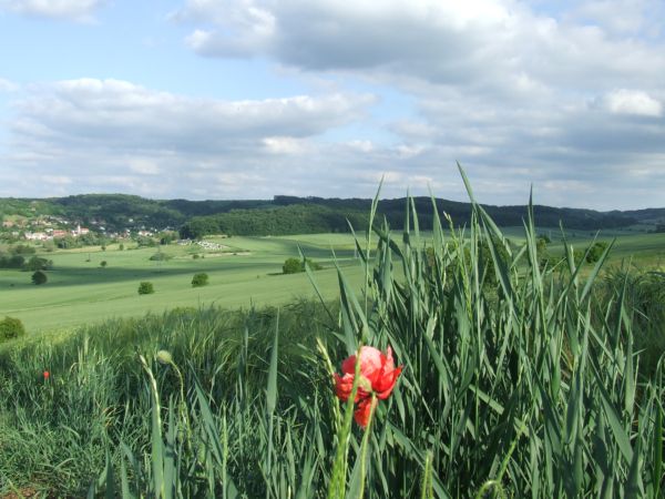 Tavasszal Somogyban is folytatódnak a földárverések