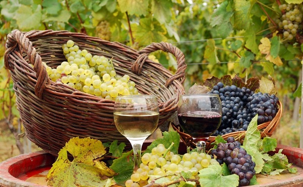 A borok népszerűsítését kérik a megye polgármestereitől