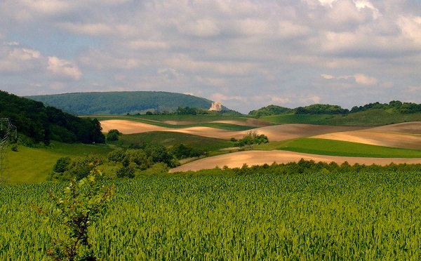 174,5 millió forint élőhelyvédelemre