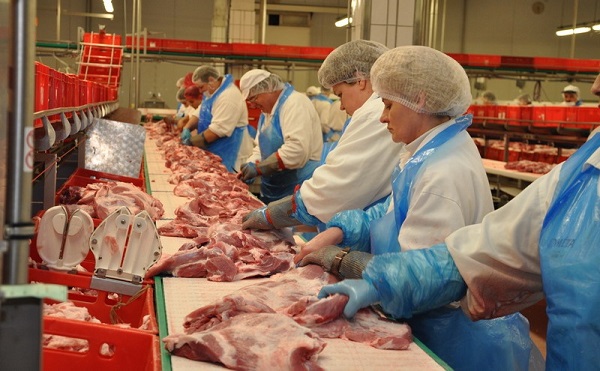 Jövőre új terméket állít elő a Kométa