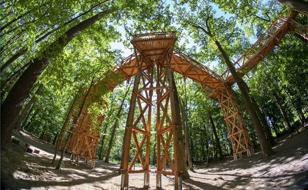 50 millióból alakítottak ki lombkorona tanösvényt