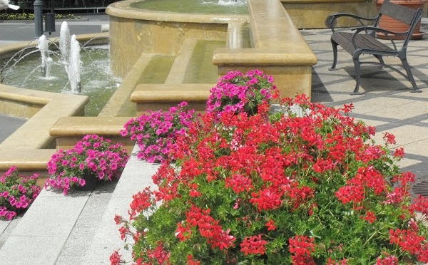 Ismét virágos Kaposvárért pályázat