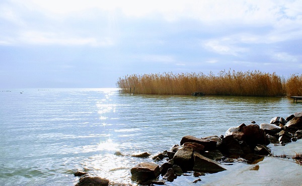 Uniós forrásból valósul meg természetvédelmi program