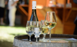 Idén is népszerűsítik a megye borait