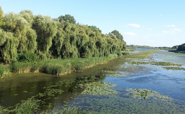 Teljessé vált a Kis-Balaton vízvédelmi rendszer