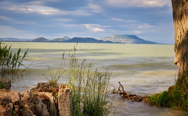 Elrendelték az első szúnyoggyérítést a Balatonnál