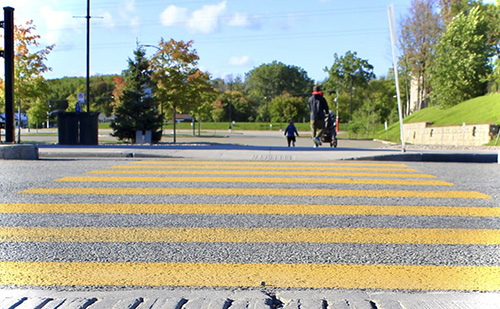 Siófokon a harmadik okoszebrát telepítették