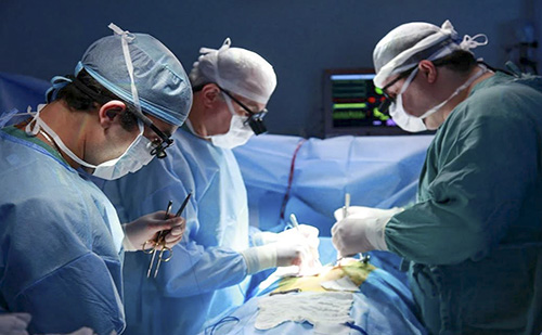 Új gyárat épített Kaposváron a Vatner Kft