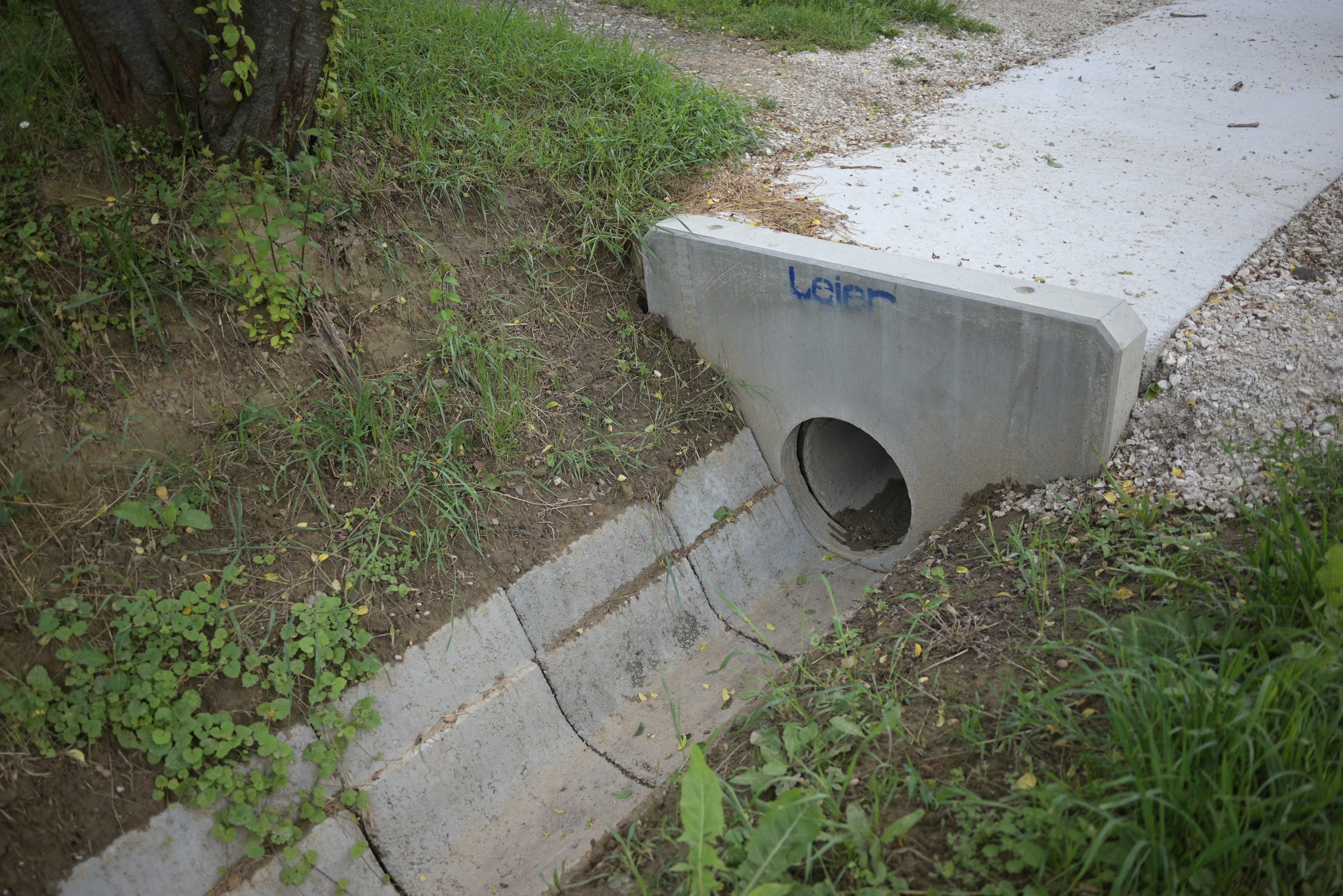 481256981_1178552566956453_6187712858328543440_n