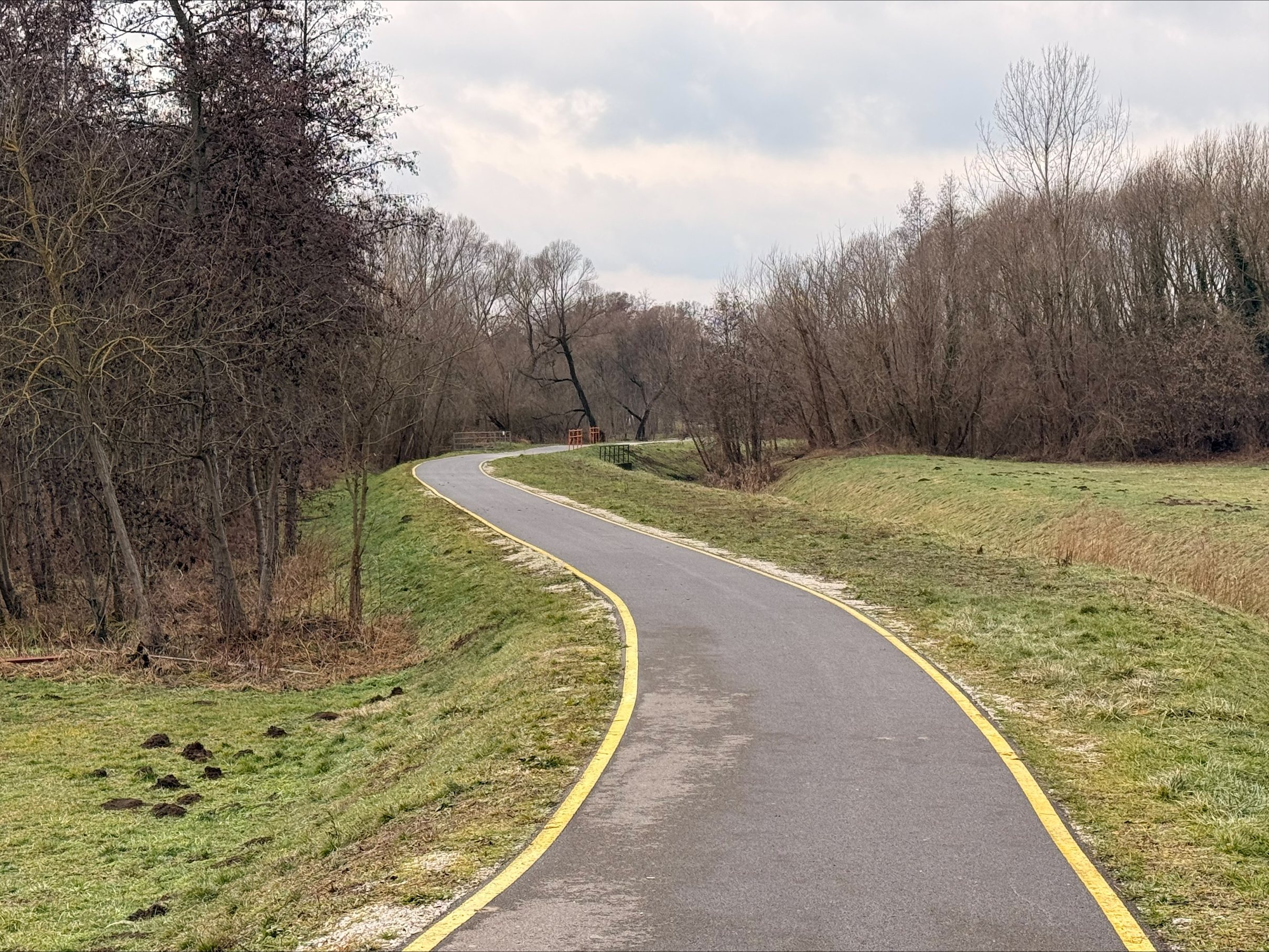 processed-6B02A3A1-655F-4908-8F3B-52C1FA15A294