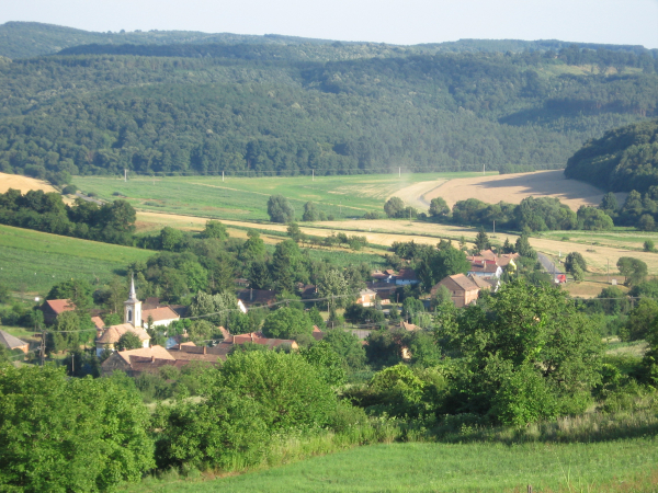 Nem fogod elhinni az eredményeket!